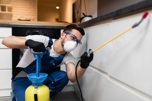 Best Cockroach Control Services  in Gholson, TX