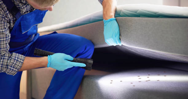 Best Mosquito Control Services  in Gholson, TX