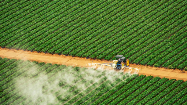 Gholson, TX Pest Control Company