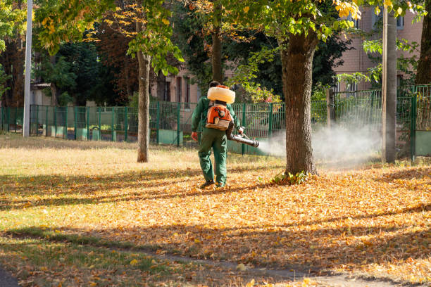Best Wasp Removal Services  in Gholson, TX